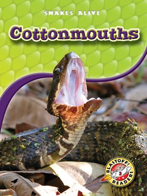 cover image of Cottonmouths